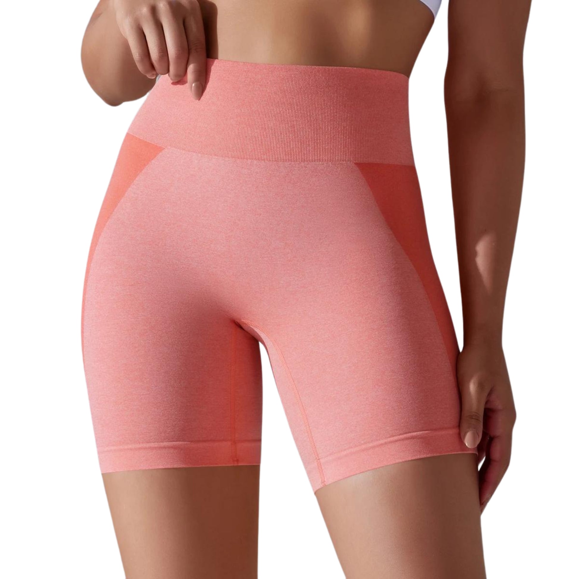 Seamless Yoga Shorts - Zenflow